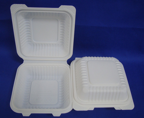 Biodegradable Food Container